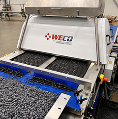 360Tek optical sorter from WECO