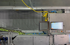 Key Technology's COMPASS optical sorter for leafy greens