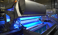 VERYX optical sorter for potato strips from Key Technology
