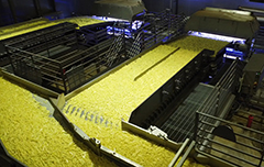 Bem Brasil's new potato strip processing line from Key Technology
