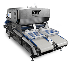 Key Technology's ADR X automatic defect removal system for potato strips