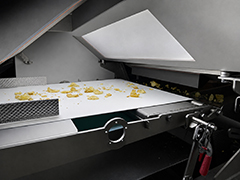 Key Technology's COMPASS optical sorter