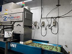 MXV-Bulk x-ray inspection system for nuts from WECO